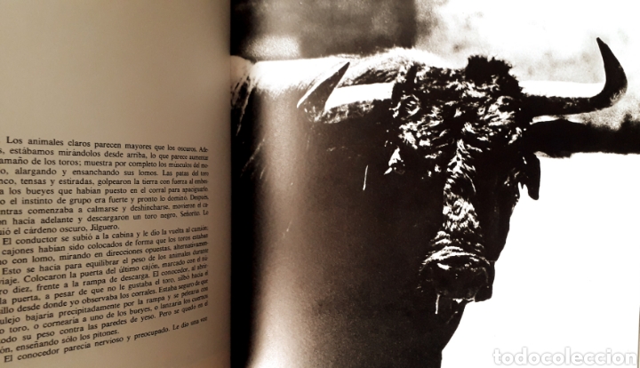 Libros: Libro Toros de Iberia. Robert Vavra - Foto 6