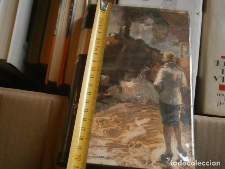 Libros: la ruta del doctor shannon - Foto 1