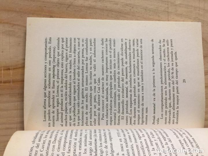 Libros: Su perro - Gabriella Ferrario Cavalchini - Foto 3