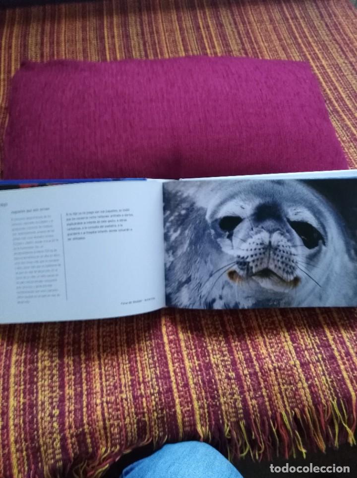 Libros: 365 GESTOS PARA SALVAR EL PLANETA - Foto 3
