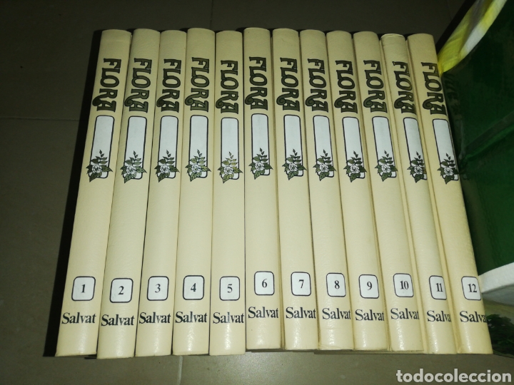 Libros: Flora, 12 tomos completa editorial Salvat - Foto 1