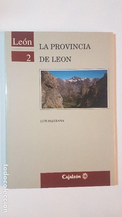 Libros: LA PROVINCIA DE LE&Oacute;N - Pastrana, Luis - LE&Oacute;N 1990 - Foto 1