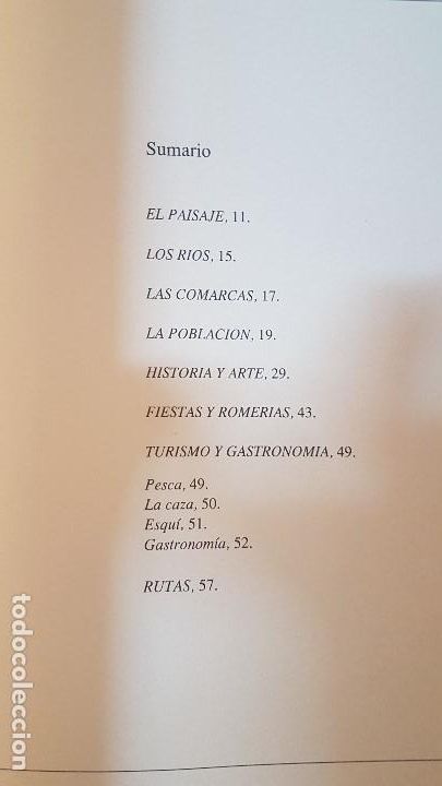 Libros: LA PROVINCIA DE LE&Oacute;N - Pastrana, Luis - LE&Oacute;N 1990 - Foto 2