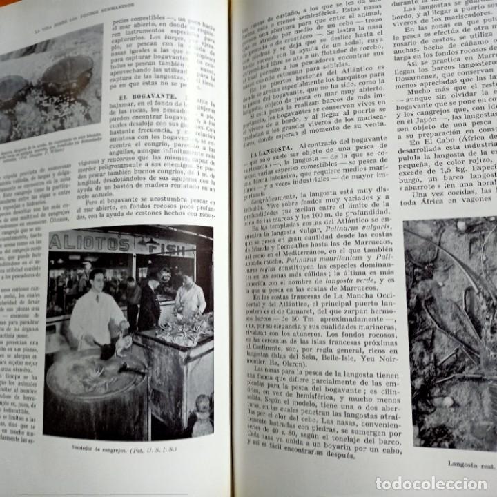Libros: EL MAR, V.V.A.A., VARIAS TEMATICAS / VARIOUS THEMATICS, EDITORIAL LABOR, 1963 - Foto 4
