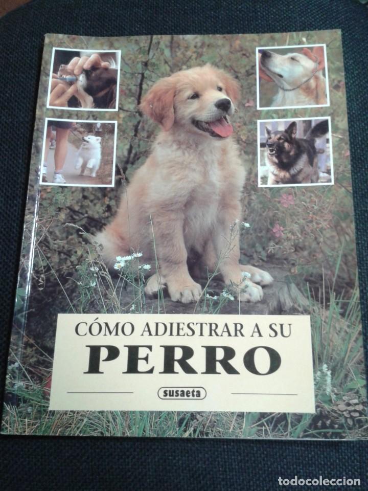 Libros: COMO ADIESTRAR A SU PERRO. SUSAETA. CL - Foto 1