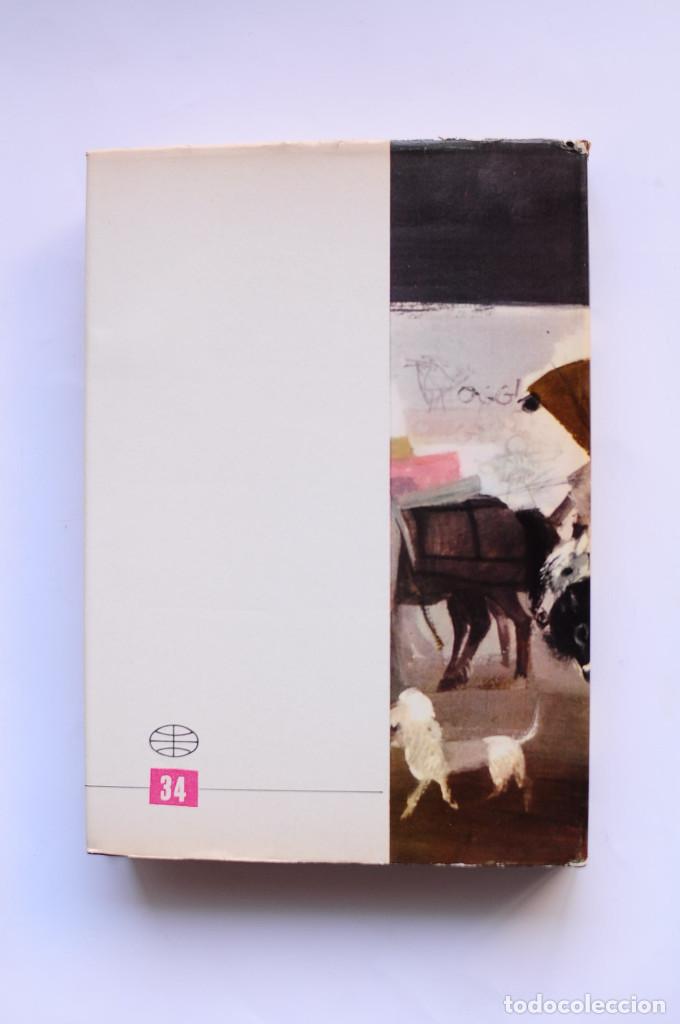 Libros: El farmac&eacute;utico a caballo - PITIGRILLI - Foto 4