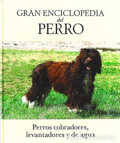 Libros: Gran enciclopedia del perro (VII) - Desconocido - Foto 1