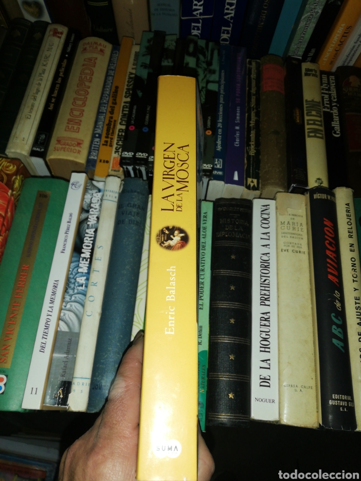 Libros: La virgen de la mosca, Enric Balasch, suma de letras - Foto 3