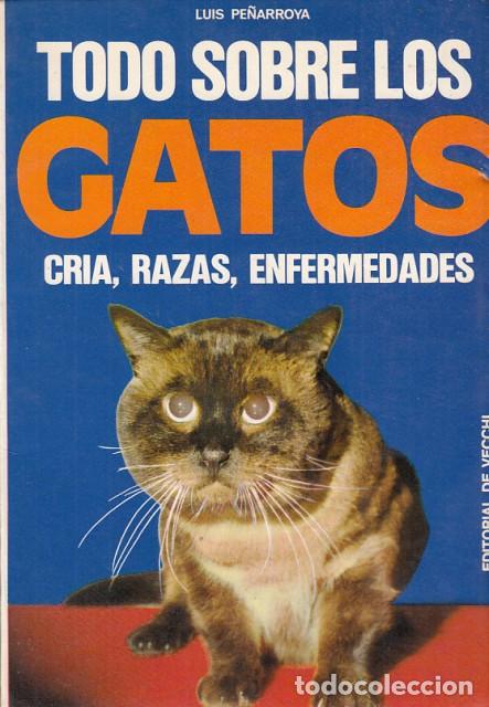 Libros: TODO SOBRE LOS GATOS - PE&Ntilde;ARROYA, LUIS - Foto 1