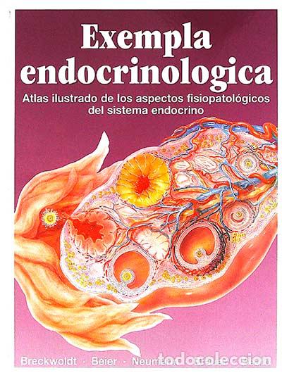 Libros: Exempla endocrinol&oacute;gica II - VVAA - Foto 1