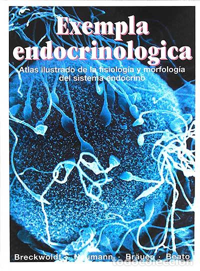 Libros: Exempla endocrinol&oacute;gica I - VVAA - Foto 1