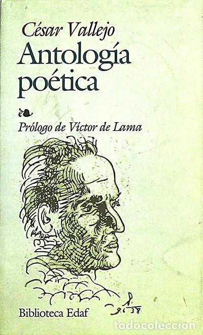 Libros: Antolog&iacute;a po&eacute;tica. C&eacute;sar Vallejo - Cesar Vallejo - Foto 1