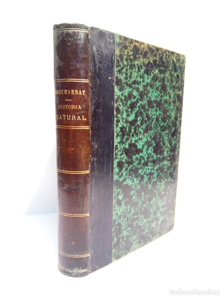 Libri di seconda mano: BOUCHARDAT, A.; D. M. Graells y Miguel Colmeiro [Respectivamente] - Tratado Completo de Historia Nat