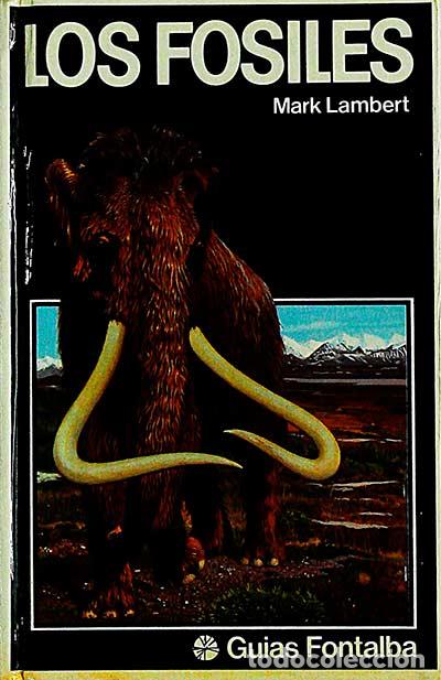 Libros: Los f&oacute;siles - Lambert, Mark - Foto 1