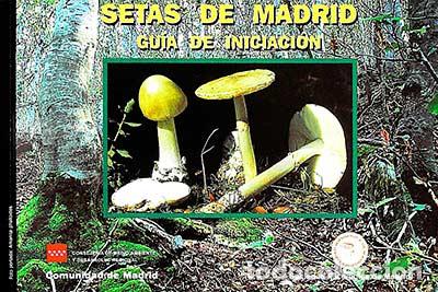 Libros: Setas de Madrid: Gu&iacute;a de iniciaci&oacute;n - VVAA - Foto 1
