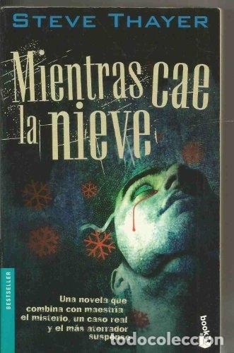 Libros: MIENTRAS CAE LA NIEVE - THAYER, STEVE - Foto 1