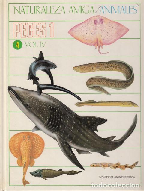 Libri di seconda mano: NATURALEZA AMIGA. ANIMALES VOL. IV. PECES 1 - Portela Pe&ntilde;as, Isabel; Cabello P&eacute;rez, Lourdes