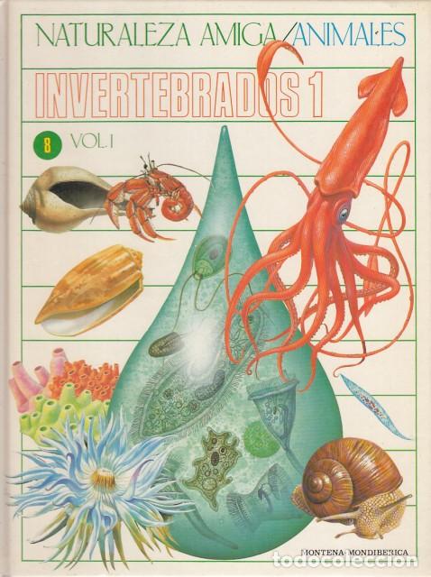 Libri di seconda mano: NATURALEZA AMIGA. ANIMALES VOL. I. INVERTEBRADOS 1 - Portela Pe&ntilde;as, Isabel; Cabello P&eacute;rez, Lourdes