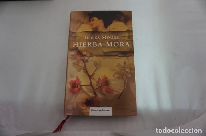 Libros: 23C/ HIERBA MORA - TERESA MOURE / CIRCULO DE LECTORES - Foto 1
