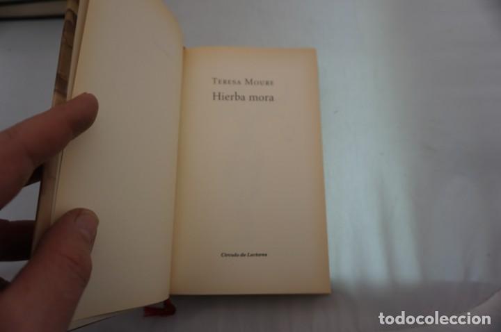 Libros: 23C/ HIERBA MORA - TERESA MOURE / CIRCULO DE LECTORES - Foto 3