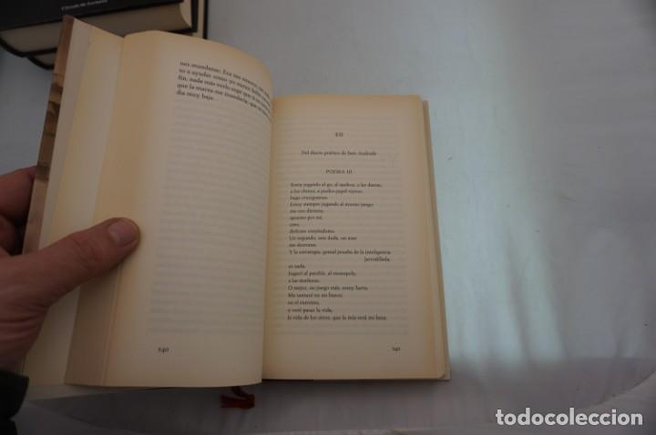 Libros: 23C/ HIERBA MORA - TERESA MOURE / CIRCULO DE LECTORES - Foto 4