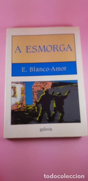 Libros: LIBRO-A ESMORGA-EDUARDO BLANCO AMOR-1993-EDITORIAL GALAXIA-CL&Aacute;SICO GALLEGO-COLECCIONISTAS