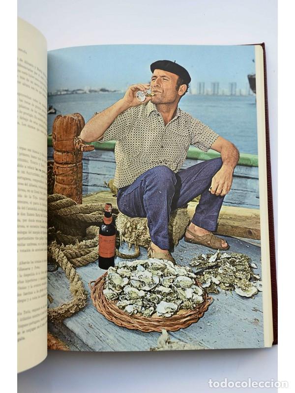 Libros: Los vinos de Espa&ntilde;a - CASTILLO, Jos&eacute; del - Foto 5