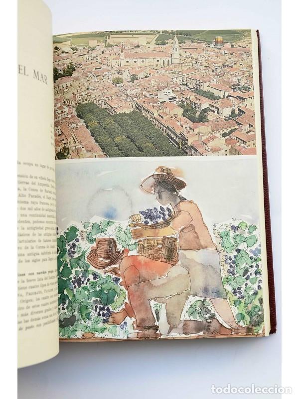 Libros: Los vinos de Espa&ntilde;a - CASTILLO, Jos&eacute; del - Foto 6