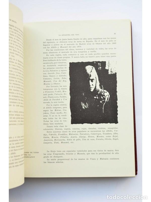 Libros: Los vinos de Espa&ntilde;a - CASTILLO, Jos&eacute; del - Foto 8