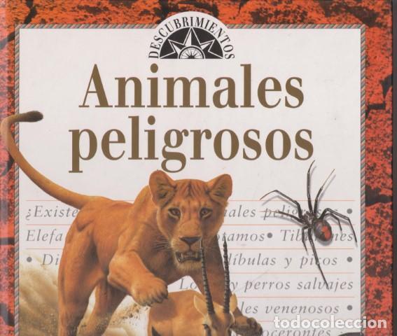Libros: ANIMALES PELIGROSOS - SUSAN LUMPKIN - Foto 1