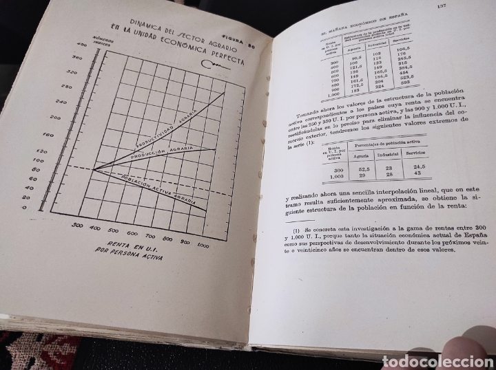 Libros: El ma&ntilde;ana econ&oacute;mico de Espa&ntilde;a - Robert, Antonio - Foto 2