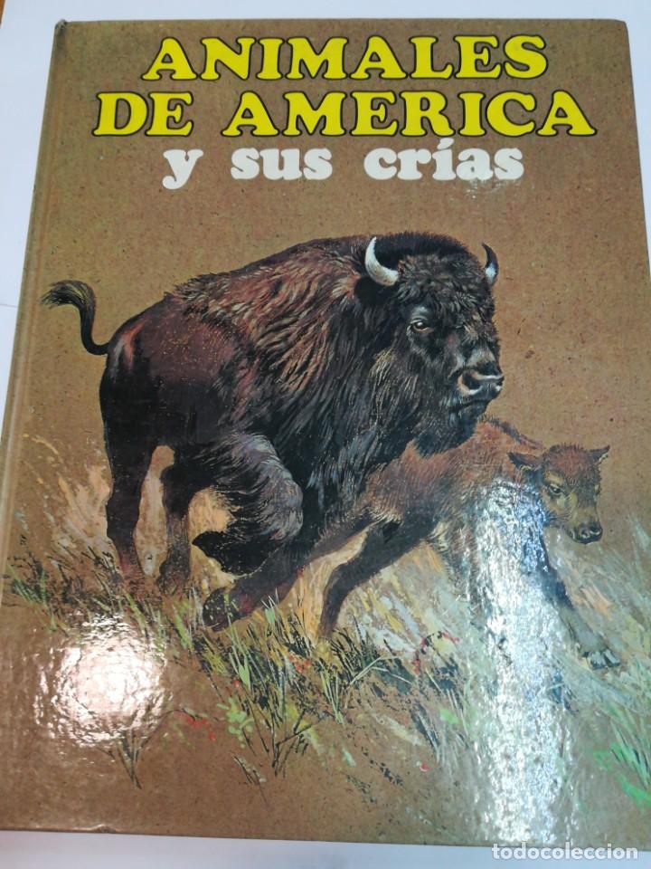 Livres: Animales de Am&eacute;rica y sus crias SA2407