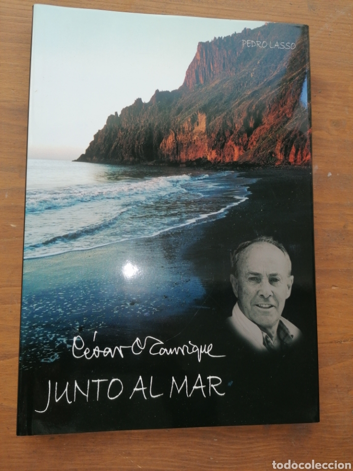 Libros: C&Eacute;SAR MANRIQUE - JUNTO AL MAR - PEDRO LASSO - Dedicatoria - Foto 1