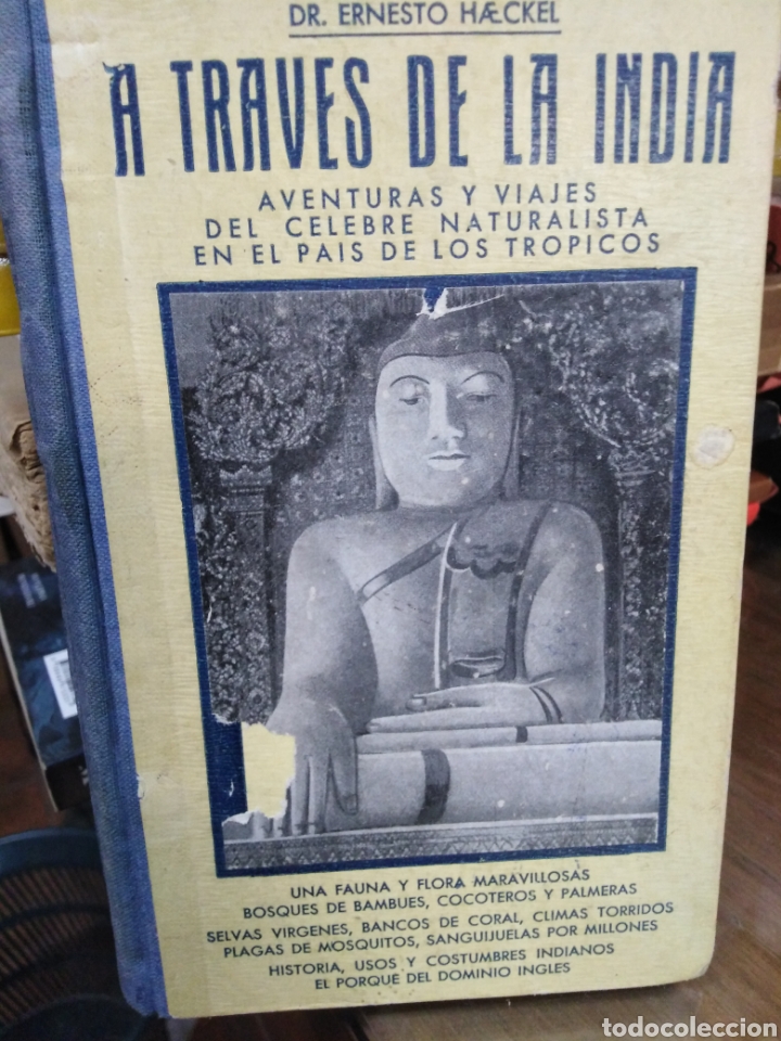Libros: A TRAVES DE LA INDIA - HAECKEL, Ernesto - Foto 1