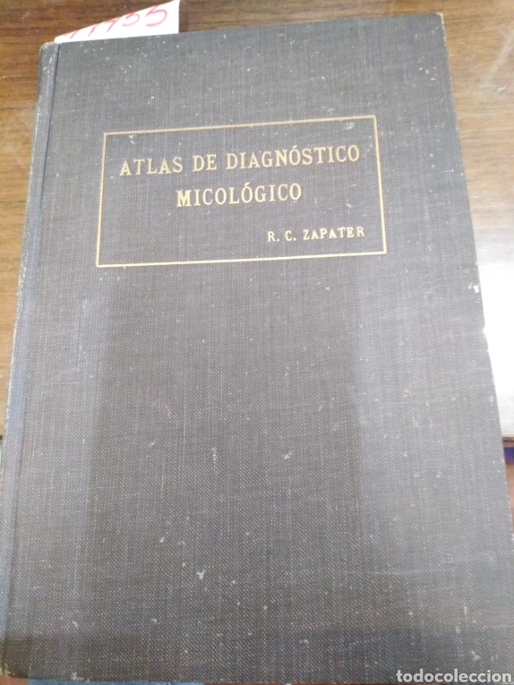 Libri di seconda mano: ATLAS DE DIAGNOSTICO MICOLOGICO. Aplicaci&oacute;n del laboratorio - ZAPATER, R. C.