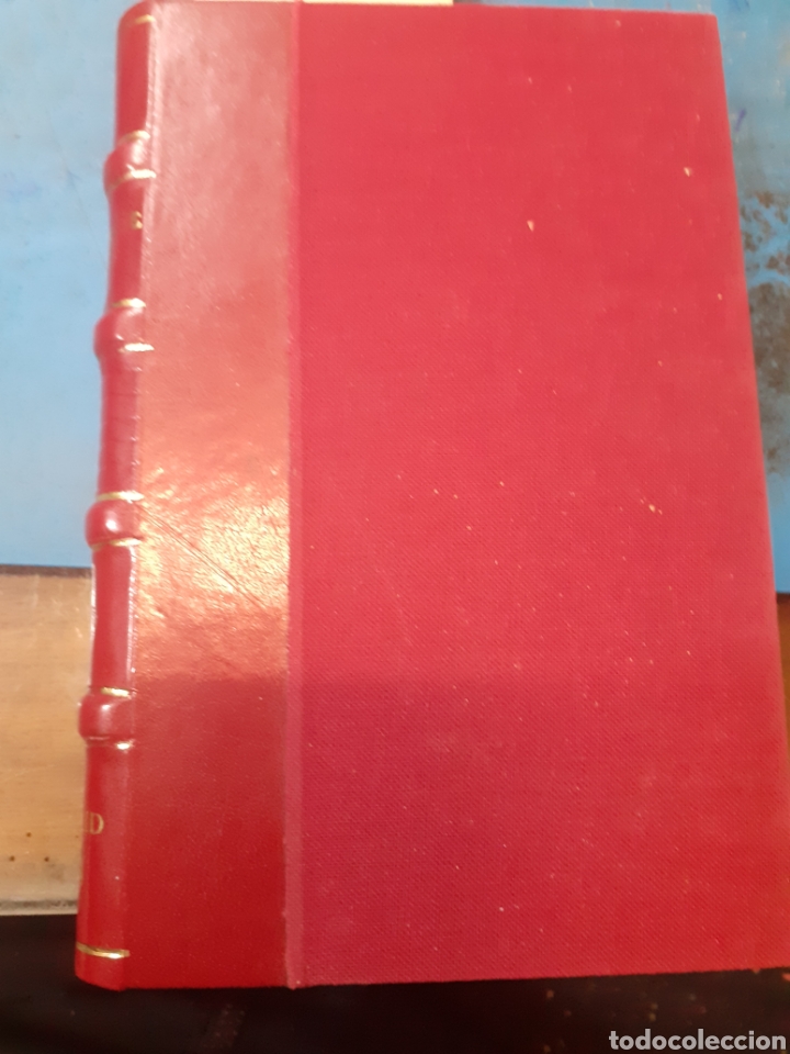 Libros: ALMANAQUE DE LA RISA PARA 1884. Ramillete de flores, ortigas y abrojos - V. V. A. A. - Foto 3