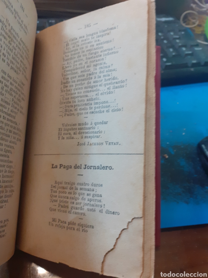 Libros: ALMANAQUE DE LA RISA PARA 1884. Ramillete de flores, ortigas y abrojos - V. V. A. A. - Foto 4