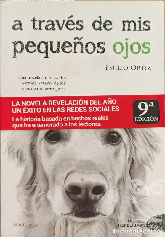 Libros: A trav&eacute;s de mis peque&ntilde;os ojos - Emilio Ortiz Pulido - Foto 1