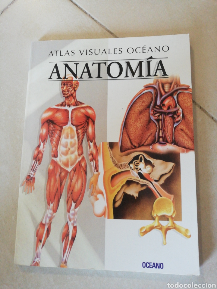 Libros: Atlas visuales oc&eacute;ano anatom&iacute;a, editorial Oc&eacute;ano - Foto 1