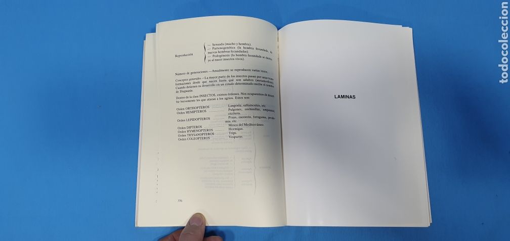 Libros: AGRIOS - M. AMOR&Oacute;S - 4a EDICI&Oacute;N - DIAGRO - Foto 3