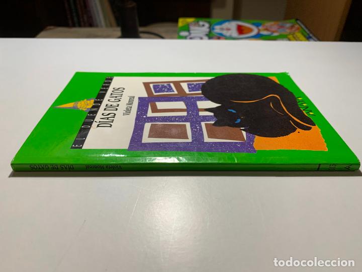 Libros: D&iacute;as de Gatos - Violeta Monreal (El duende verde) - Foto 3