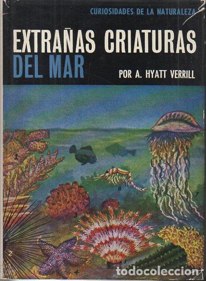 Libros: EXTRA&Ntilde;AS CRIATURAS DEL MAR. - HYATT VERRILL, A. - Foto 1