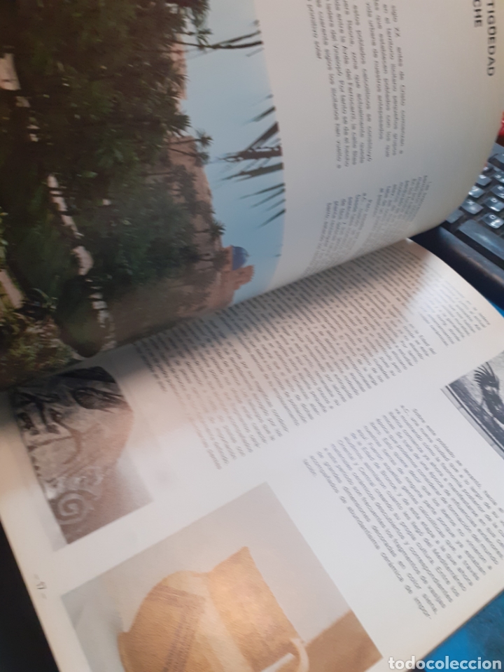 Libros: FESTA D&acute;ELIG 76. Elche - Foto 4