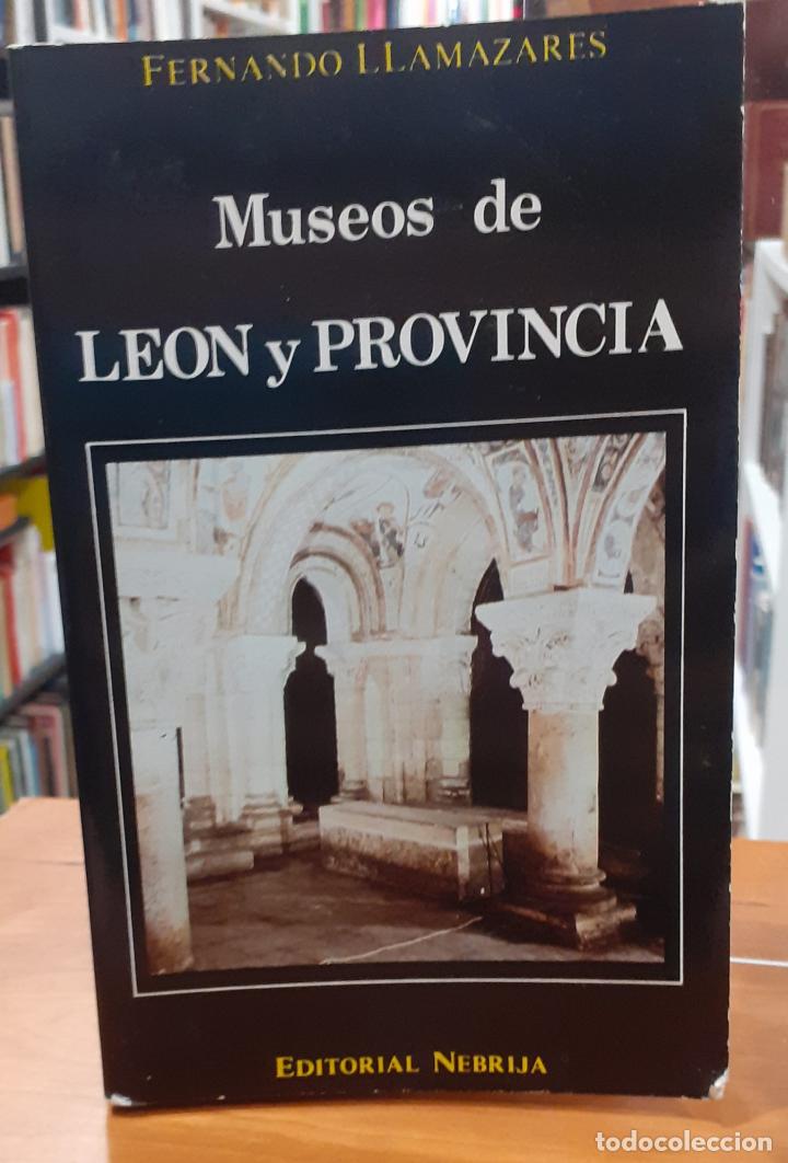 Libros: Museos de Le&oacute;n y provincia - LLAMAZARES, FERNANDO - Foto 1