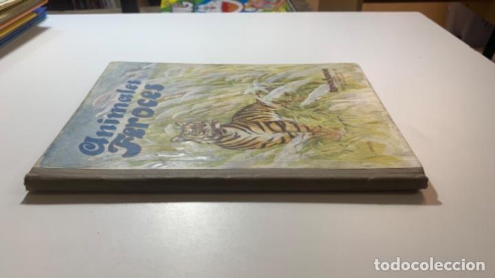Libros: ANIMALES FEROCES. Ram&oacute;n Sopena, editor. 1942 - Foto 5
