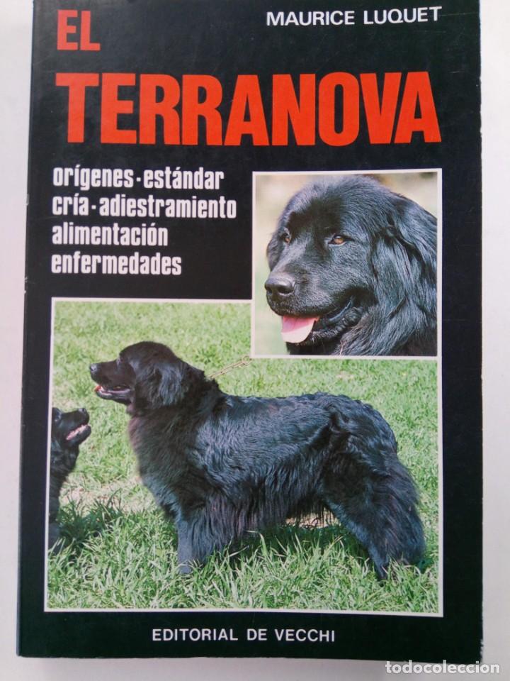 Libros: EL TERRANOVA - MAURICE LUQUET - EDITORIAL DE VECCHI - Foto 1