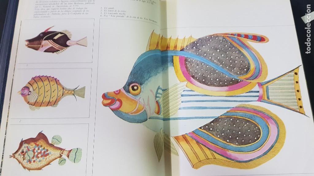 Libros: EL GRAN LIBRO DE LA PESCA - 2 TOMOS - PLAZA & JANES - ANO 1981 (ILUST) - Foto 8