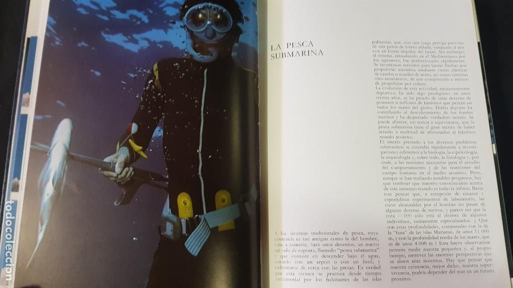 Libros: EL GRAN LIBRO DE LA PESCA - 2 TOMOS - PLAZA & JANES - ANO 1981 (ILUST) - Foto 28