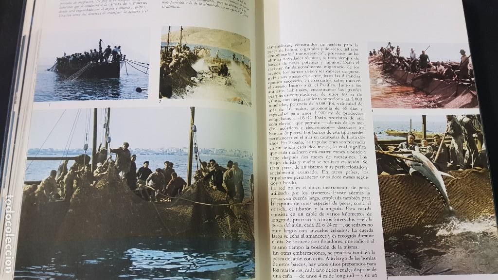 Libros: EL GRAN LIBRO DE LA PESCA - 2 TOMOS - PLAZA & JANES - ANO 1981 (ILUST) - Foto 30