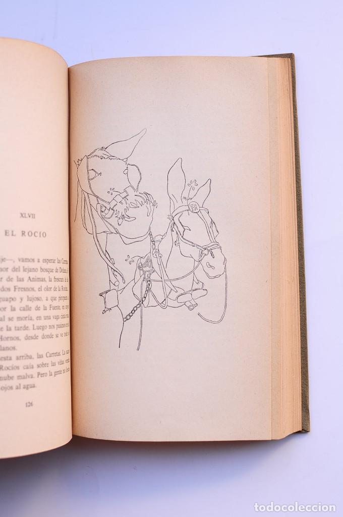 Libros: Platero y yo (1907-1916) - JIM&Eacute;NEZ, Juan Ram&oacute;n - Foto 4